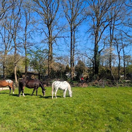 Hotel Chique Chalet Met Zicht Over De Weilanden Op De Veluwe Epe Εξωτερικό φωτογραφία