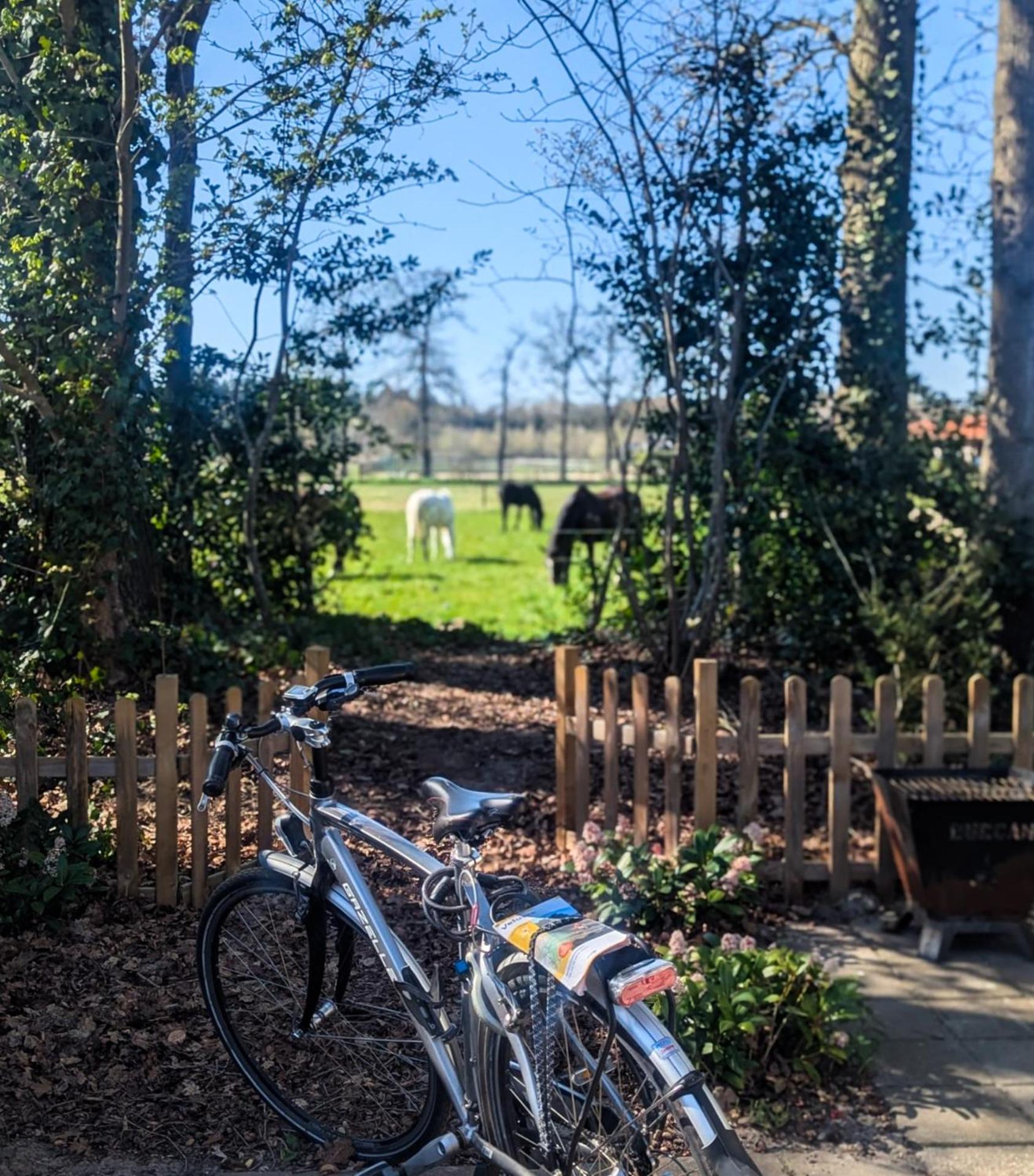 Hotel Chique Chalet Met Zicht Over De Weilanden Op De Veluwe Epe Εξωτερικό φωτογραφία